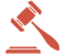 Expert Forensic Witness